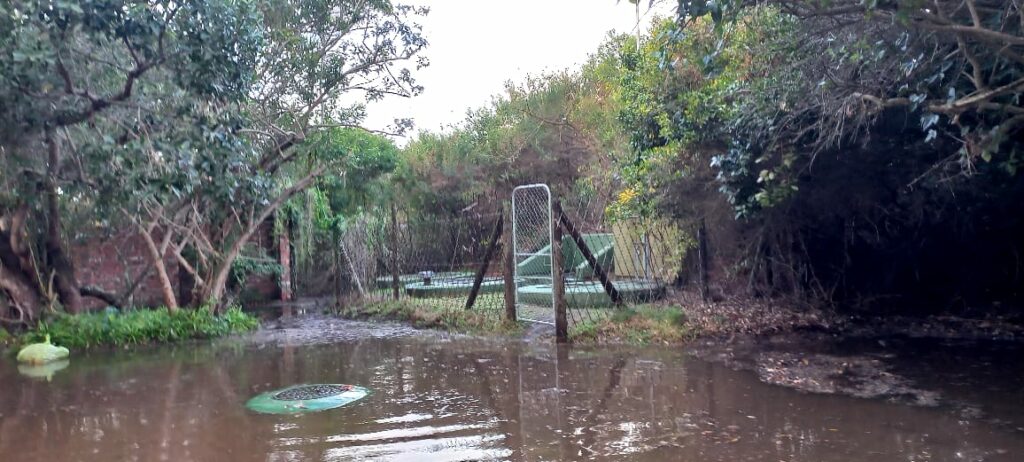 HEAVY RAINFALL 24 JUNE: FLOODS IN GEORGE, REFUSE COLLECTION AND POWER OUTAGES