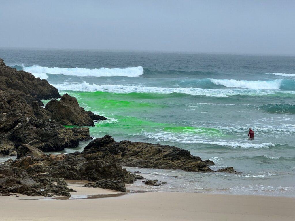 COMBATING THE DANGERS OF RIP CURRENTS IN THE GARDEN ROUTE AREA