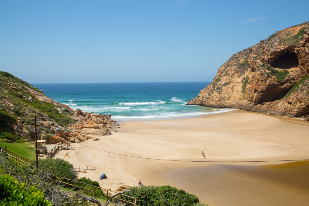 Media Statement: Water Quality testing of rivers and at beaches - Why closed for swimming?