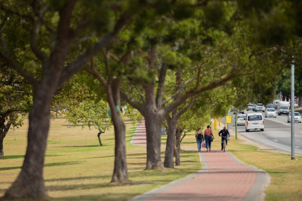 George Municipality Encourages Replanting with Indigenous Trees Following Storm Damage