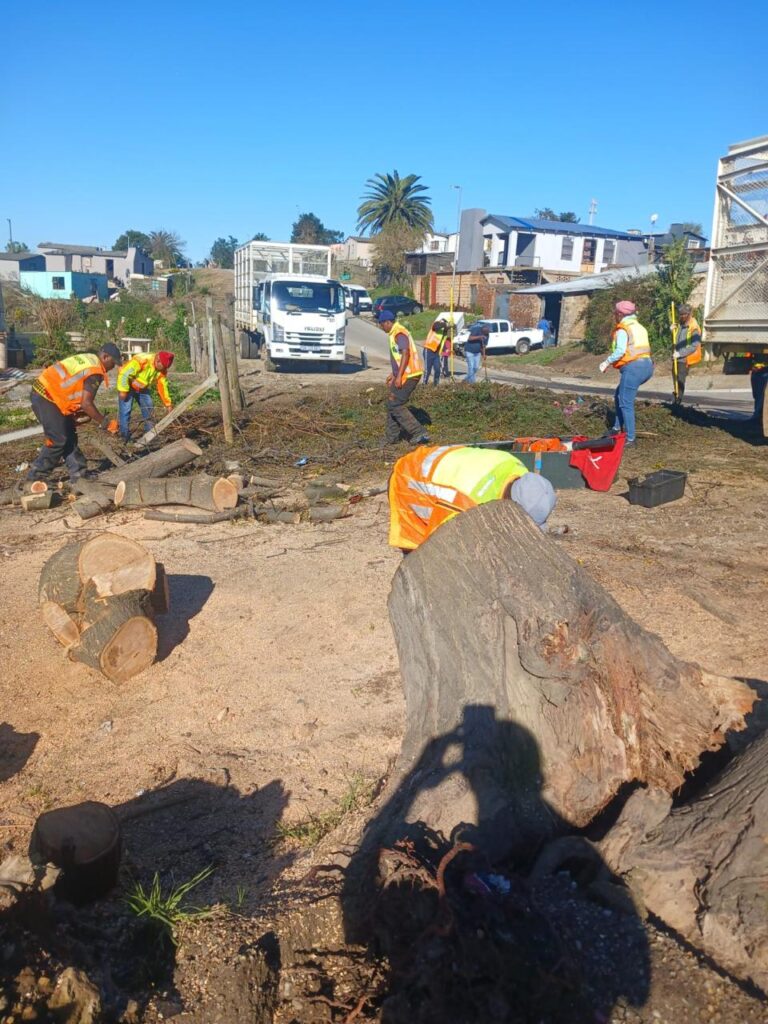George Municipality continues storm clean-up across municipal area